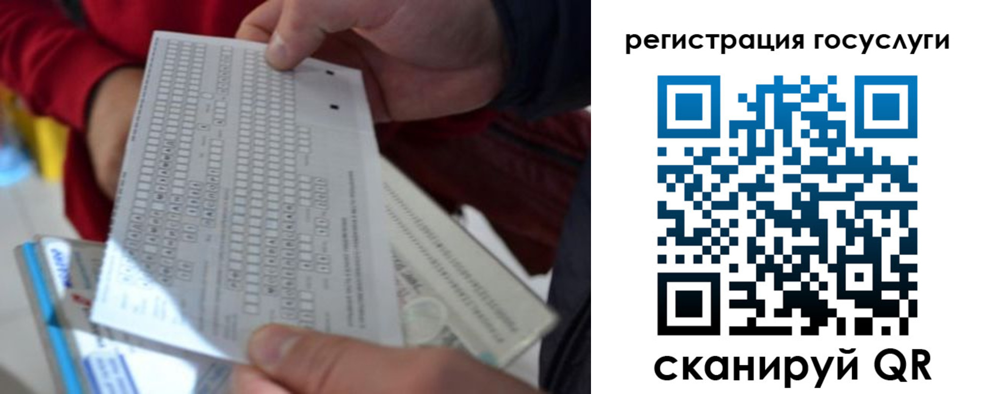 прописка гарантия в Луге